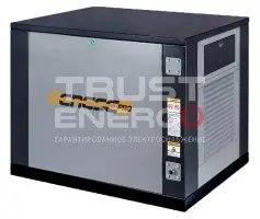 Газовый генератор Genese Pro 8500 Neva кожухе с АВР