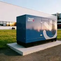 Электроагрегат дизельный TRUSTENERGO АД-250С-T400-1Р-WG